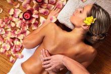 What are useful elecampane, angelica, oregano and angelica