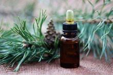 Phytotherapy for endometritis