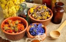 Phytotherapy for headaches and migraines