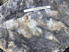 Archaeologist finds giant dinosaur footprint in England