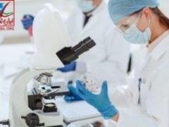 750 pacemakers were implanted in patients of the region in 2022