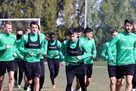 Бєсєдін зіграє проти Олімпіакоса Н з перших хвилин