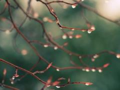 Unstable weather: Ukrhydrometcentre told what spring 2023 will be like
