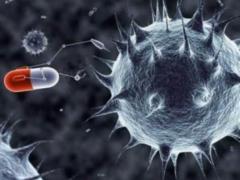 Scientists have found an insect that sniffs out cancer