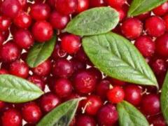 Likar naming the best berry to improve immunity