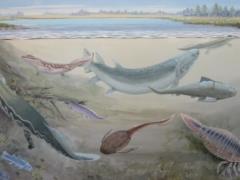 Scientists have found the remains of a giant fish that preyed on human ancestors