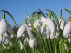 Snowfalls again: the forecaster gave a forecast for the first spring weekend