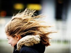 Residents of Kiev are warned of danger: there is a significant increase in wind and its squally gusts ahead