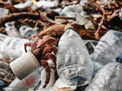 200 countries have agreed on the use of the oceans
