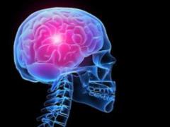 Doctors rozpovіl pro korisnі products for the prevention of brain ailments