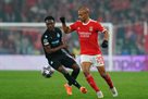 Benfica – Brugge 5:1 Video of goals and a look at the match of the Champions League