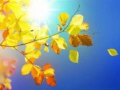 It became clear if it gets warmer in Ukraine