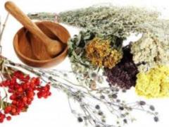 2 Popular Herbs Help Lose Belly Fat