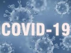 Post-Covid-19 world: Britain s leading microbiologist warns of next pandemic