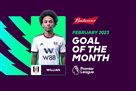 Villian is the author of the greatest goal of the Premier League behind the fury bags