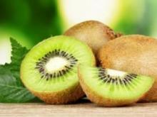 Pros and cons of a vegetarian diet