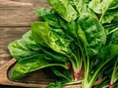 6 types of leafy greens, like varto today