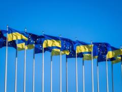 Interim report on Ukraine s readiness for EU accession may appear closer to summer - Chentsov