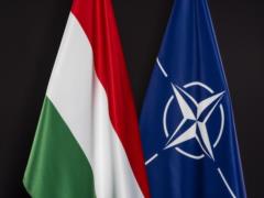 Hungary again postponed the date of ratification of new applications for NATO membership