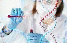 Scientists manage to edit heart muscle cells with mutations