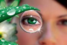 Scientists test  smart  contact lens for diabetics on rabbits