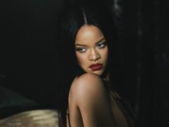 Fan breaks into pregnant Rihanna s home to propose to star