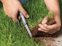 A draft law on confiscation of inefficiently used lands has been registered in the Verkhovna Rada