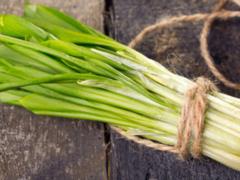 In Ukraine, sellers of wild garlic face a fine