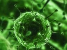 Fecal analysis: what is important to know