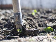 In Russia, they began to sell stolen Ukrainian black soil in bags