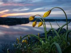 Rain and cold snap: the forecaster gave a forecast for April