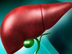 Alcohol-Related Fatty Liver Disease: Six Early Symptoms