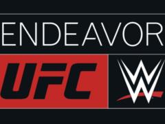 $21 billion company: UFC promotion merged with WWE wrestling league