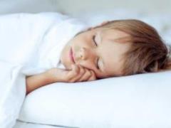 Somnologist rose as long as you can sleep a day