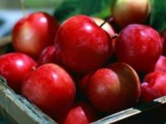 Experts have revealed the importance of green and red apples for health