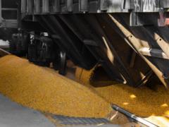 Export of grain from Ukraine to Poland will be suspended amid the  