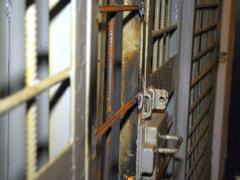 Life sentence for  