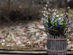 Palm Sunday: congratulations on the holiday in prose
