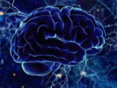Tsya priymna zvichka podvischuu risik development of dementia: vysnovki vchenih