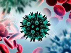 Immunologist Kryuchkov told how to deal with impaired blood flow in the hands, shins and feet after coronavirus