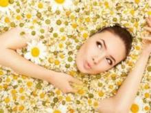 Домашний SPA салон: ромашка и овес