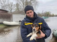 Из-за паводка остаются подтопленными 14 населенных пунктов и 600 домохозяйств – ГСЧС