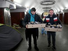 Сложное время: что нужно знать о Реестре волонтеров