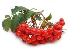 Kalina in the children s diet: when and how to give