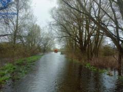 In Kyiv, the water level is gradually decreasing in the Dnieper - KMVA