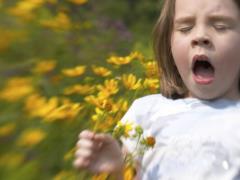 Seasonal allergies: the Ministry of Health reminded how to protect yourself
