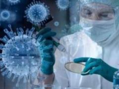 Virologist Volchkov: H3N8 bird flu epidemic will outnumber coronavirus