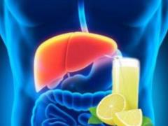 Fatty liver is often not recognized – hepatologist Yuzhnova named 6 symptoms