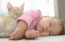 Baby sleep: what is important to know