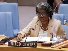 Россия ударила в самую суть Устава ООН – посол США в ООН